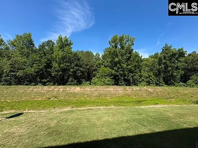 438 Woodbark Ct — Photo 20