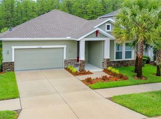 14987 Renaissance Ave, Odessa, FL 33556