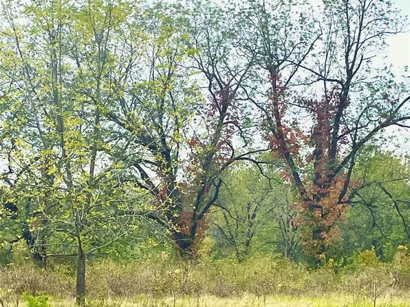 Bois Darc St, Swink, OK 74761