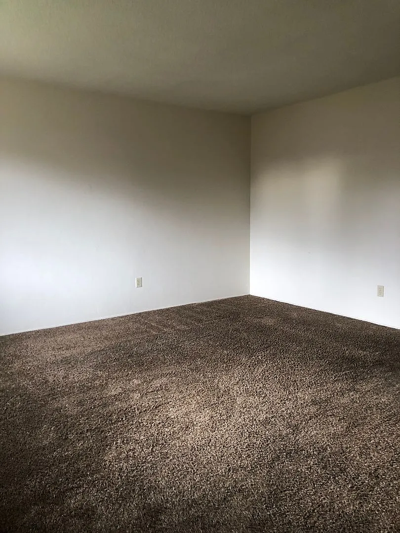 BU4809 — Photo 3
