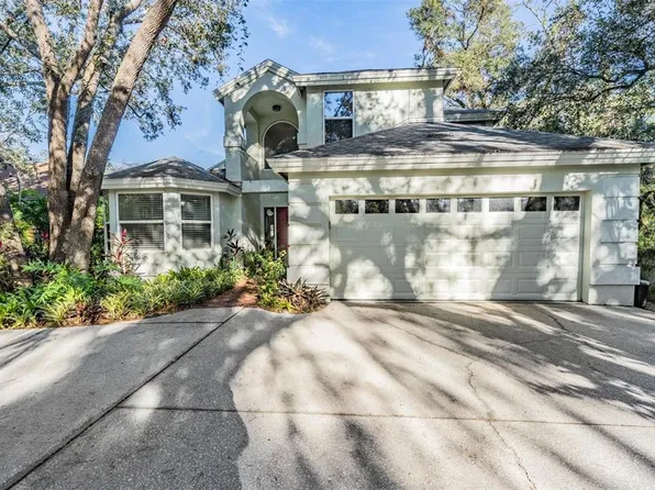 5203 Green Forest Ct, Tampa, FL 33647