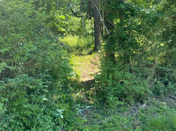 Peach Ridge Rd, Athens, OH 45701
