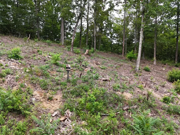 LOT 42 Bayside Blvd, Bean Station, TN 37708