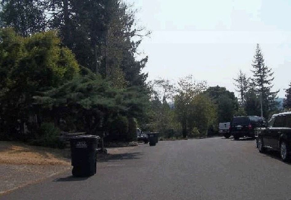 2nd image of 1233 SE Pine St