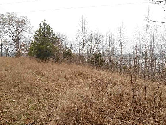 2nd image of 000 Thrush Ln Lot 38