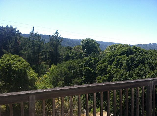2nd image of 1257 Laurel Hill Dr