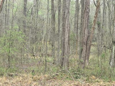 Keech Rd, Charlotte Hall, MD, 20622