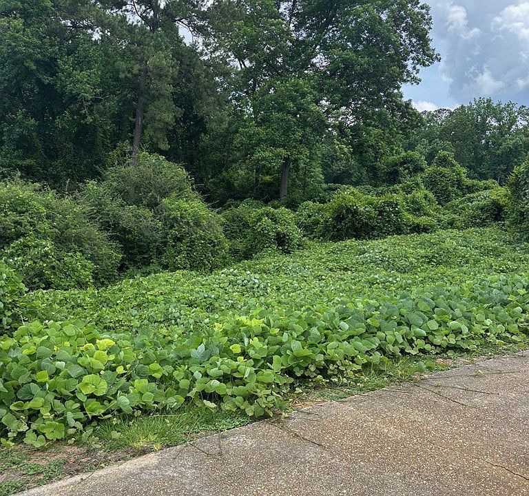 2nd image of 0 Creel Richardson Rd