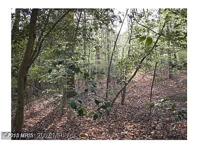 7730 Bensville Rd photo 1