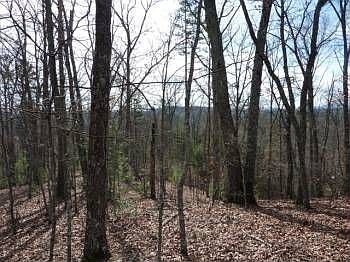 1st image of 5976 Joe Brown Hwy