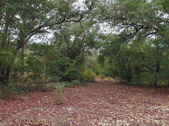 5th image of 779 Ralph Davis Rd #1