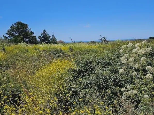 0 Vienna, Half Moon Bay, CA 94019