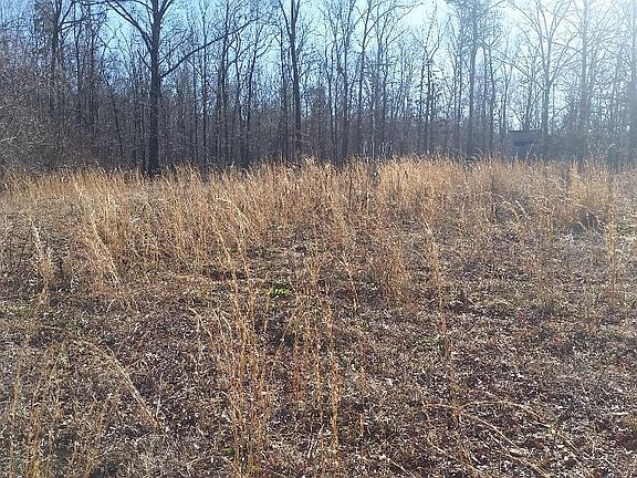 Green field w/shooting house