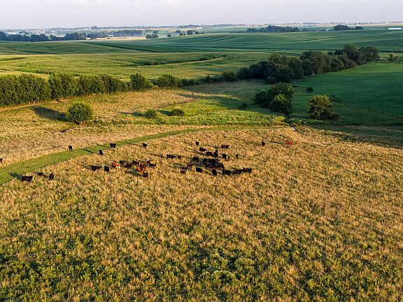 Johnson County Land For Sale-18-2