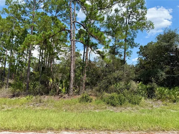 LOT 20 Balsam St Lot 20, Eustis, FL 32736