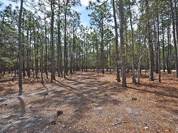 3rd image of L-155 Moss Hammock LOT 155