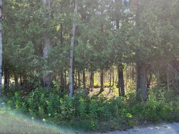 Black Rock Dr Lot 10, Drummond Island, MI 49726