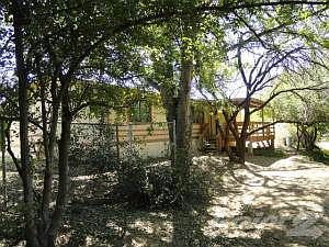 DSC03930