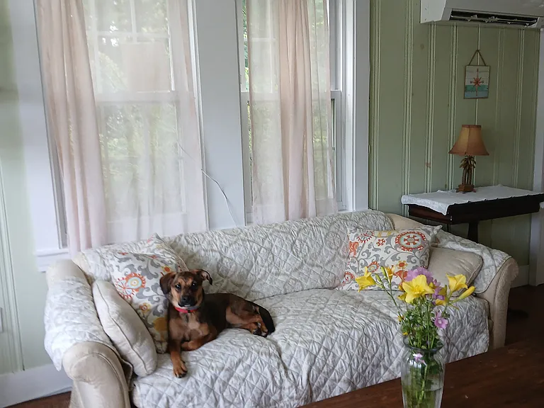 79 Brown St — Photo 2