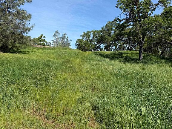 4th image of 8534 Wilcox Ranch Rd