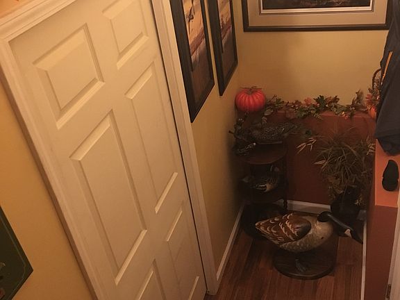 Pocket door to basement 