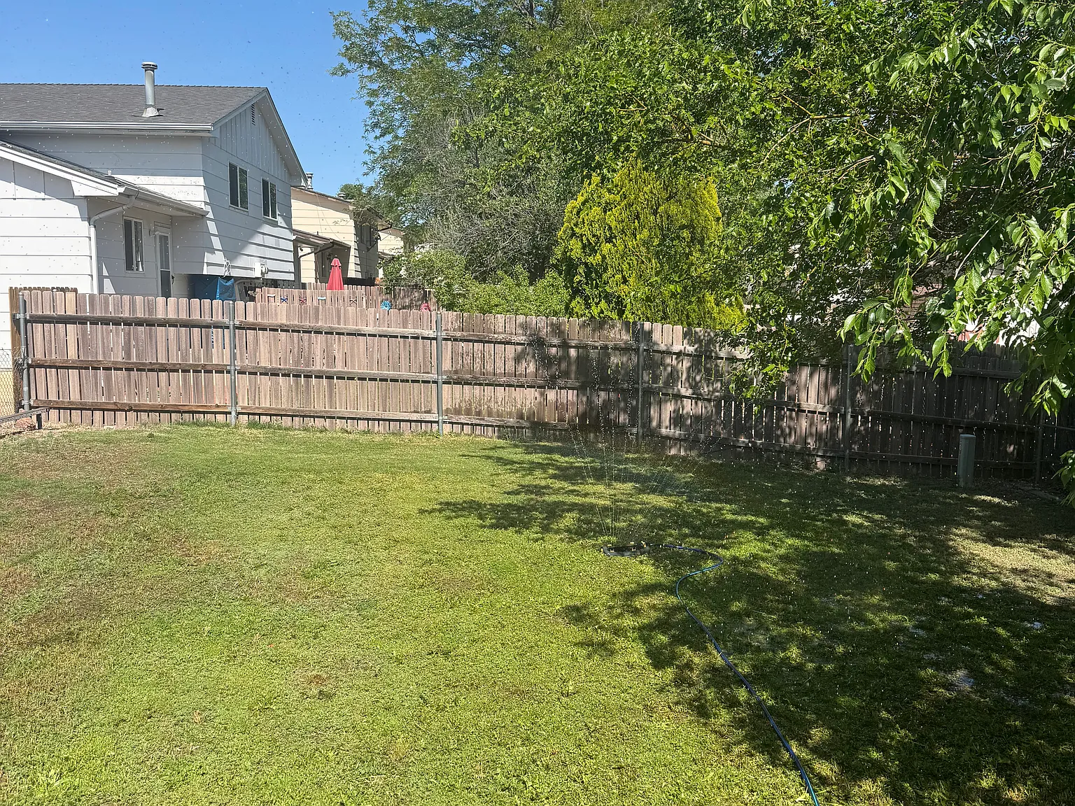 3 bed, 900 sqft, $1,450 — Photo 4