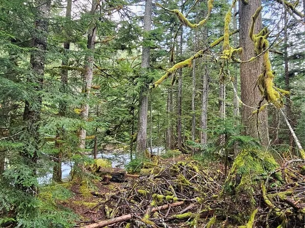 87020 NE 122nd Street, Skykomish, WA 98288
