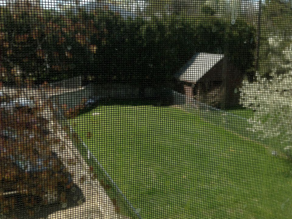 Huge fenced in yard