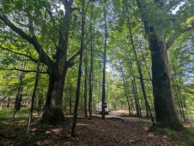 4995 E Buck Rub Rd #119, Custer, MI, 49405