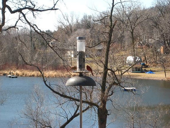 Hidden Lake view from the lo