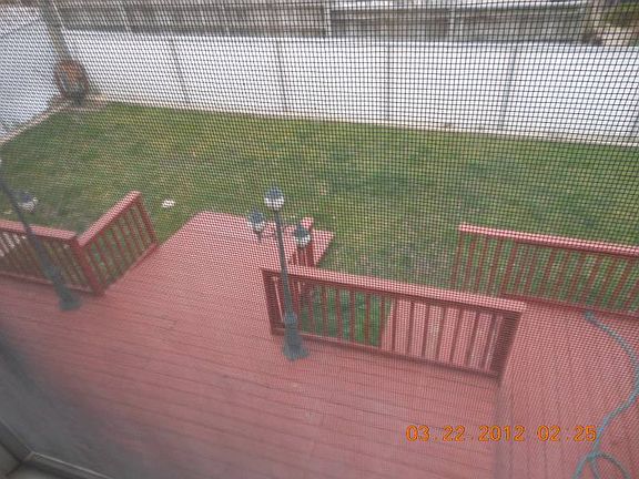 4th image of 260 Ionia Ave