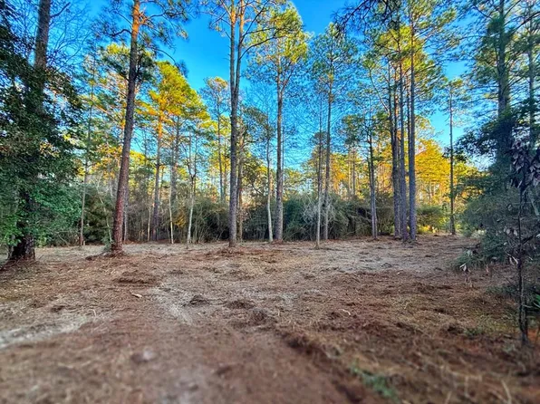 Pid 34570 Sago Ct, Brookeland, TX 75931