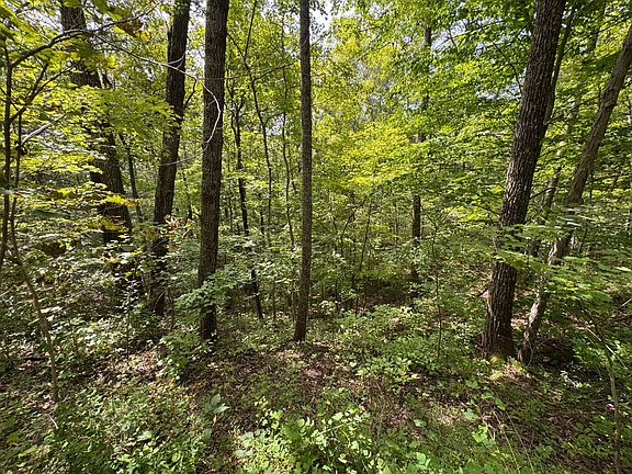 3rd image of Wolfpen Run Rd