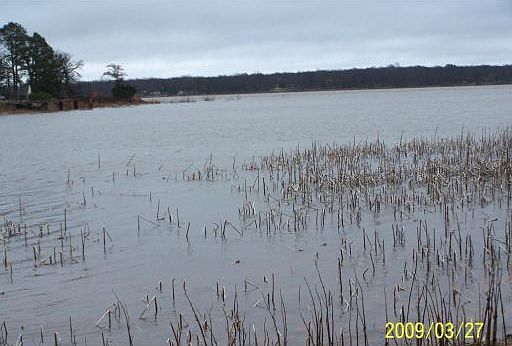 2nd image of 15207 Perry Rd Lot 7