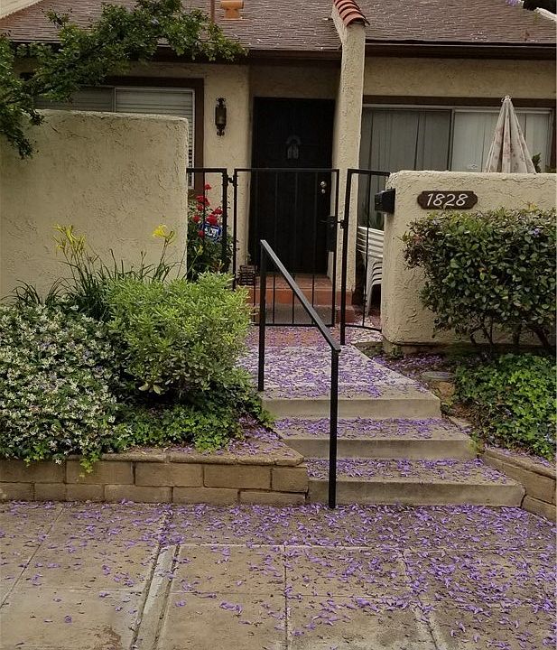 1st image of 1828 Rosebrook Ln