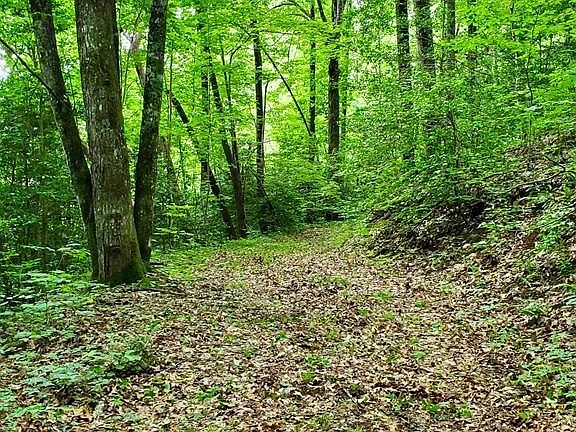 3rd image of LOT 9 Hemlock Falls Dr