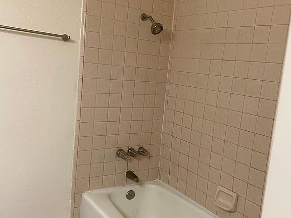 bathroom tub_02252020