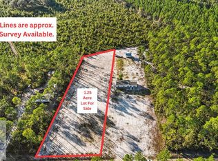 6432 Mount Pleasant Rd, Hortense, GA 31543