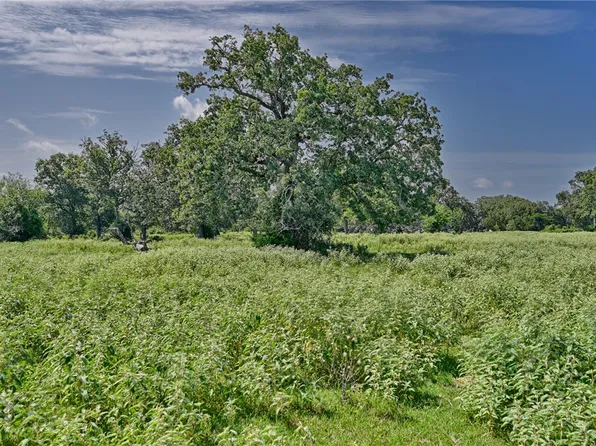 Old Loewe Ln, Carmine, TX 78932