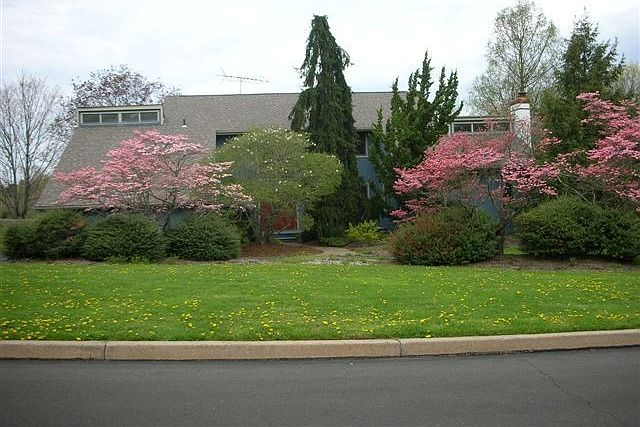 Springtime at 224 Lehigh Drive