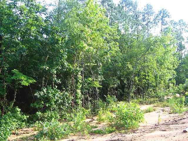 1st image of Lot 80 Grande Pines
