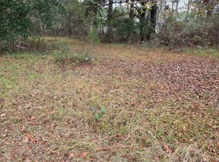 861 Brinson Rd, Brooklet, GA 30415