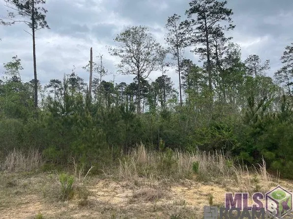 LOT Teal McDaniel Rd #B, Pine Grove, LA 70453
