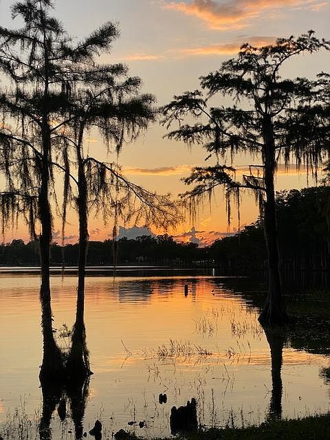 Lake Jackson across the street