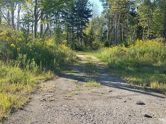 3rd image of 13773 Gar Hwy