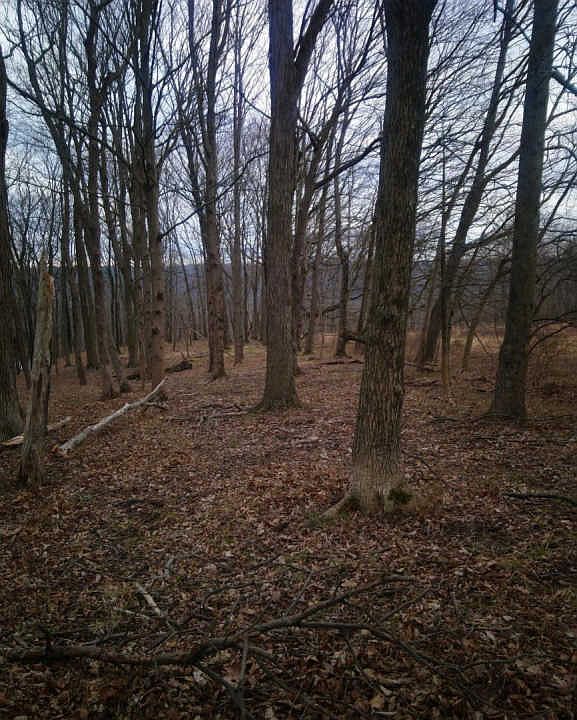 2nd image of 723 Milford Frenchtown Rd