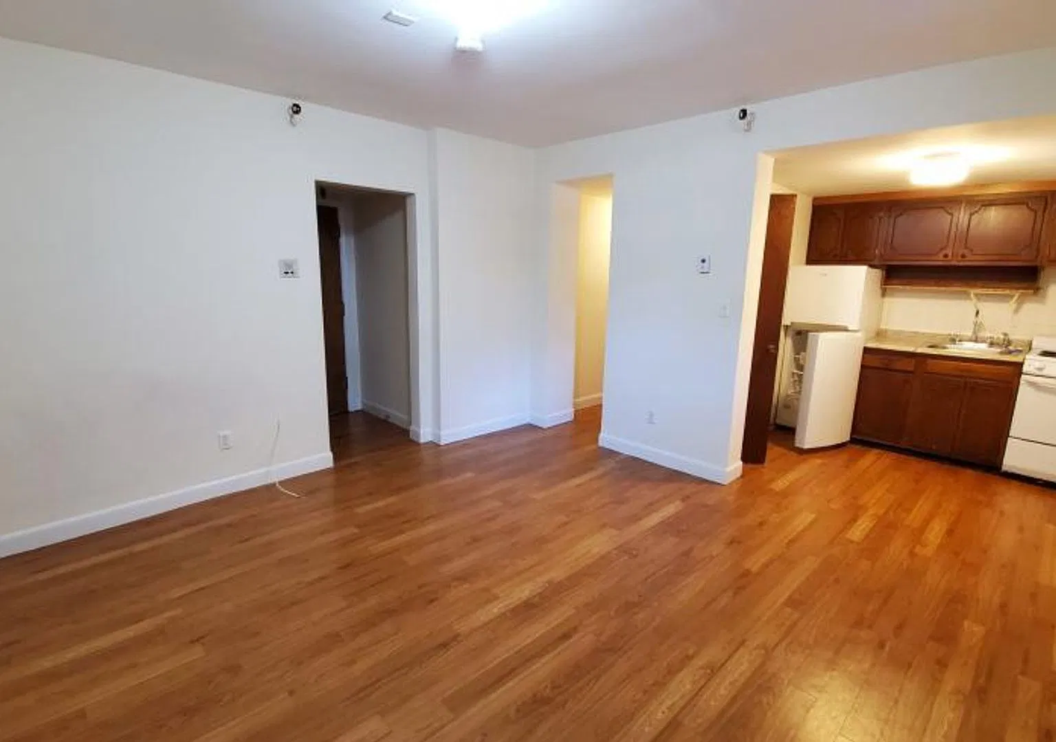Large Studio On Mbta Gl-B @ Packard's Corner — Photo 1