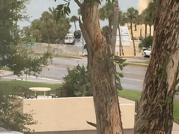 3rd image of 2950 W Bay Dr