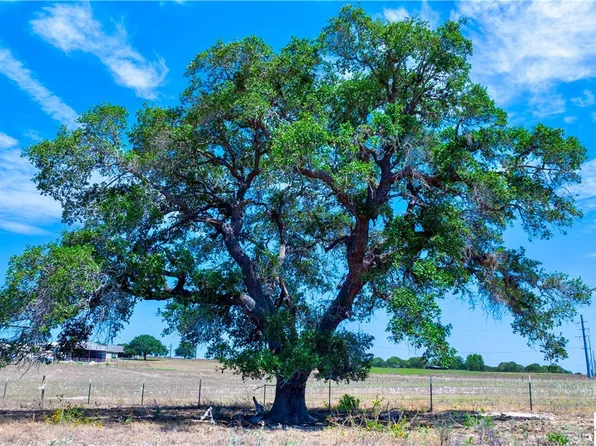 217 County Road 319, La Vernia, TX 78121