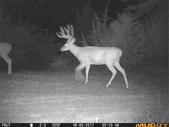 2nd image of 40770 Elm Trl